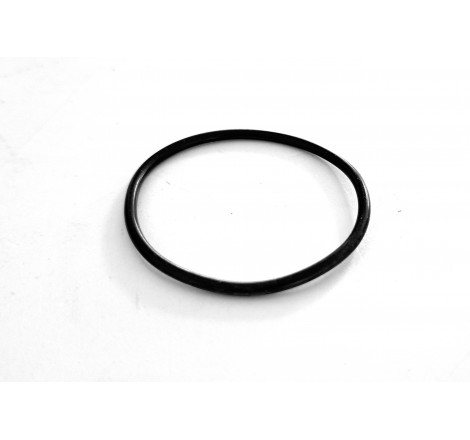 109711 Oring / O ring Manitou