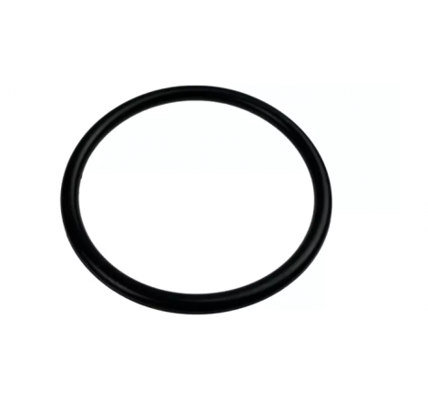 134577 O-ring Manitou