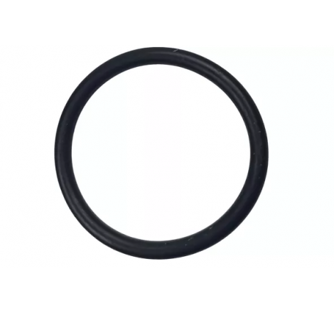 169374 O-ring Manitou