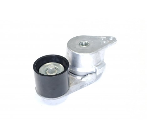 ACW0425520 Napinacz pasa AGCO