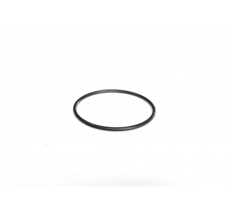 3903194M1 O-ring AGCO