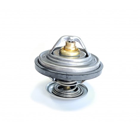 ACP0433340 Termostat AGCO