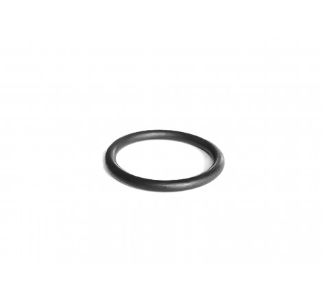 V614604958 O-ring AGCO