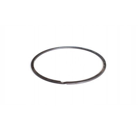 Z41813 Pierścień osadczy...