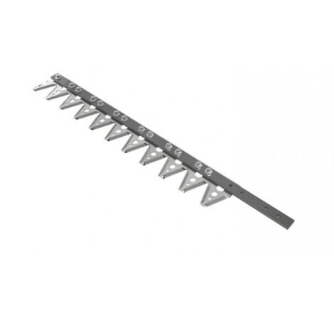 AH168896 Kosa hedera John...