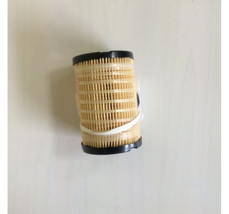 704601 Fuel filter/Filtr...