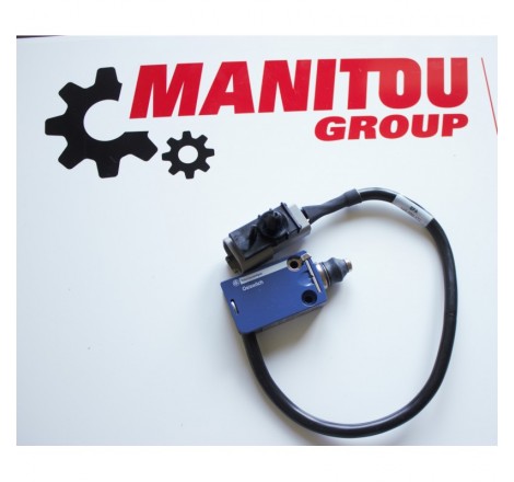 288647 Czujnik/Switch Manitou