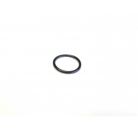 T78313 O-ring