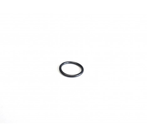 P47889 O-ring