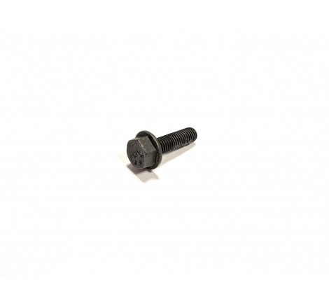 R519439 Śruba / Cap screw...